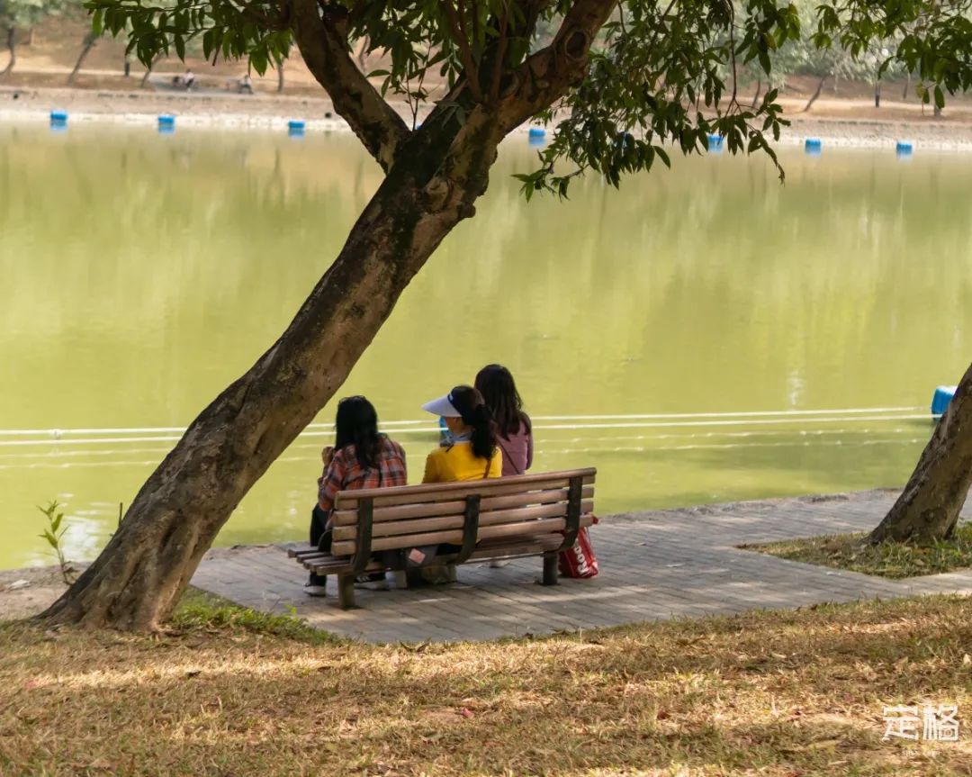 莲花山为啥一夜就火了,莲花山景区