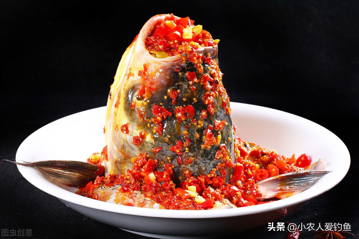 花鲢鱼头吃货,花鲢胖鱼头