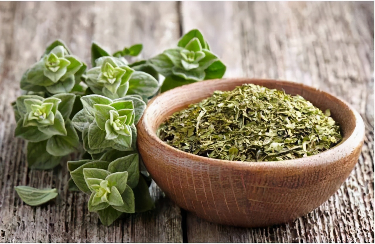 可以食用的香料植物,农村可以炒菜当香料的植物