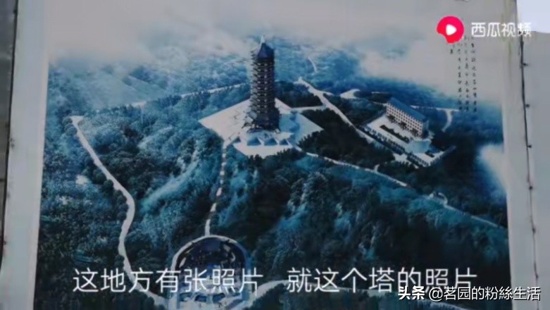 沈阳怪坡虎园,沈阳怪坡