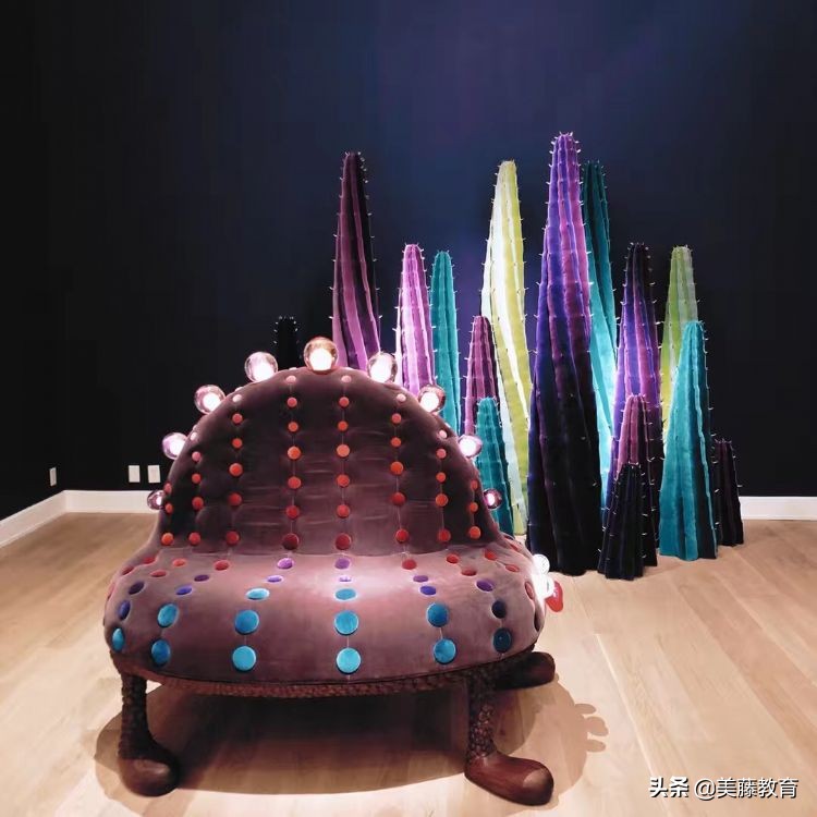 科罗拉多州怎么样,科罗拉多为什么那么火