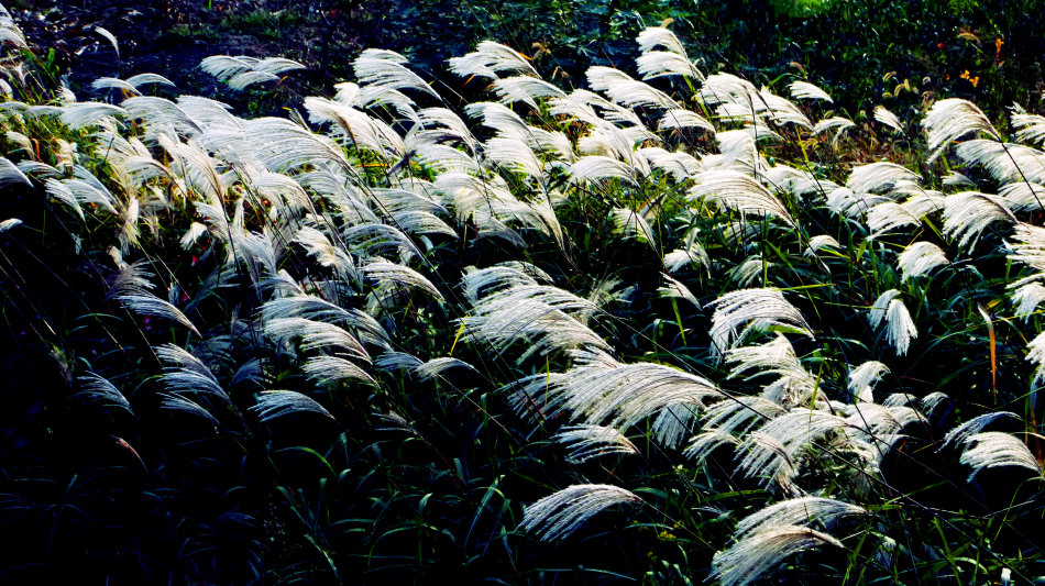 笠翁对韵国学经典21页,笠翁对韵经典篇章赏读