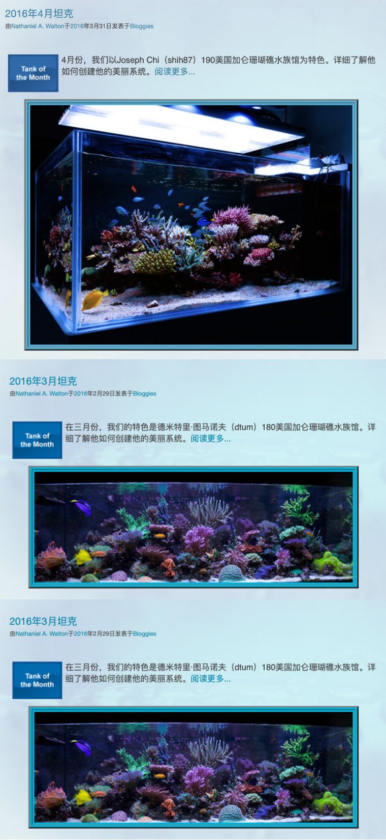 先造景再爆藻还是先爆藻再造景,先造景还是先养水