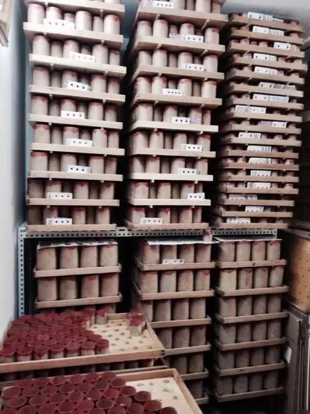 玩虫讲究,玩虫子的人