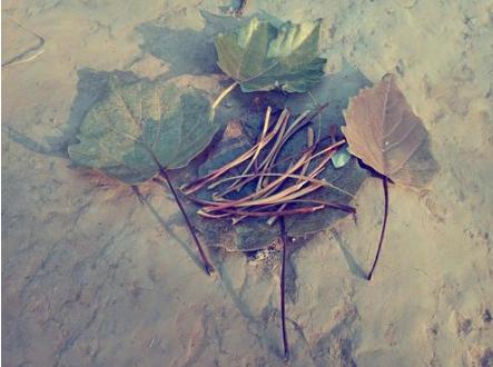 每个天津人,小时候都穿过“大博文”和“双星”……