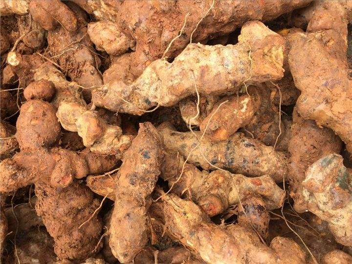 龟苓膏烧仙草凉粉有什么不一样,烧仙草和龟苓膏和凉粉有什么区别