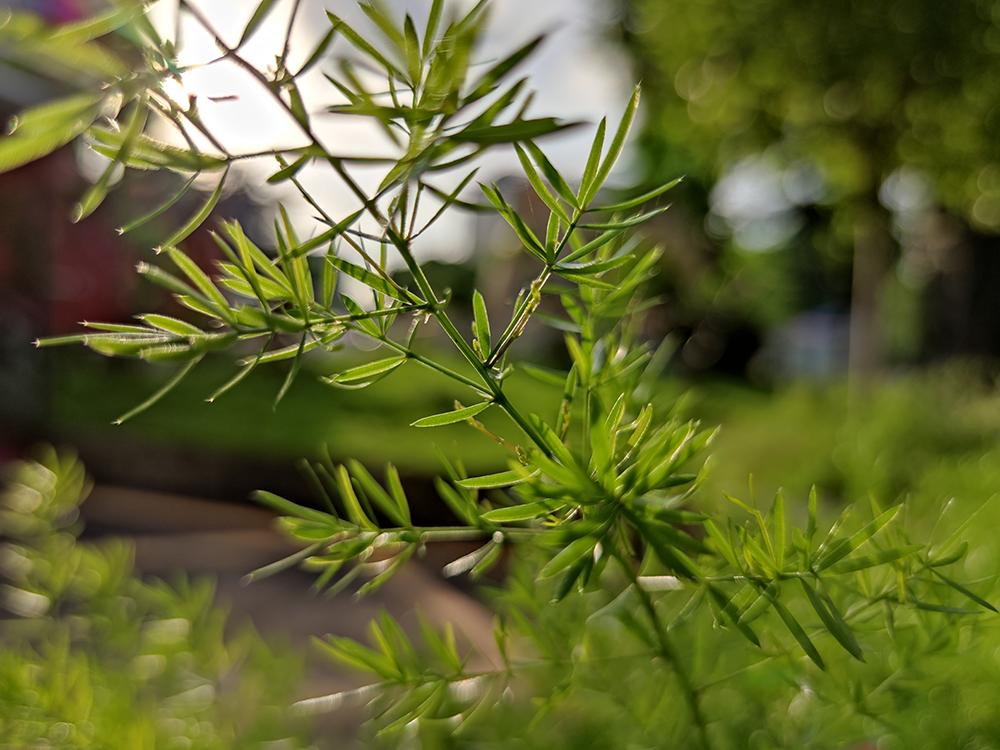 二手的小米10pro值得购买吗,小米10pro二手值得买吗