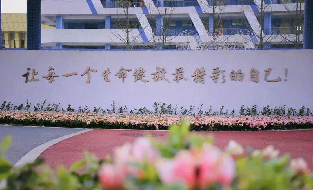 别人家的学校,天府七小和元音小学哪个好