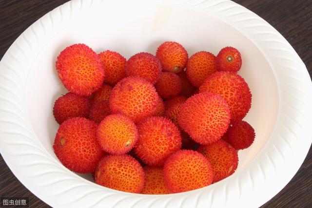 杨梅丰产栽培技术有哪些,杨梅种植方法及管理技术