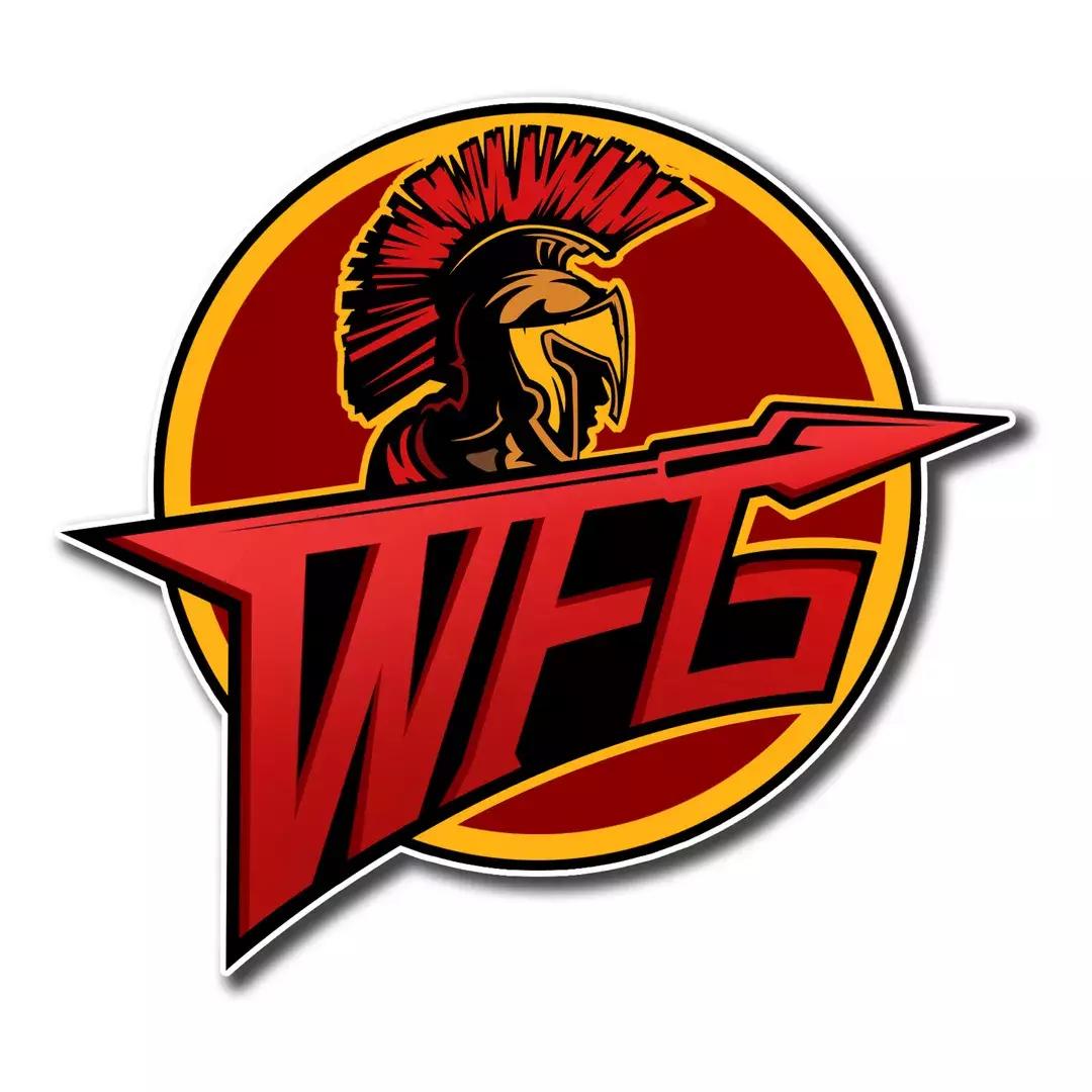 s联赛选手登场,s联赛estar