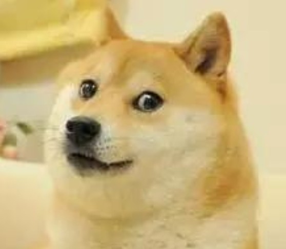 2022携号转网到青岛移动19元套餐,2022携号转网到电信的永久套餐