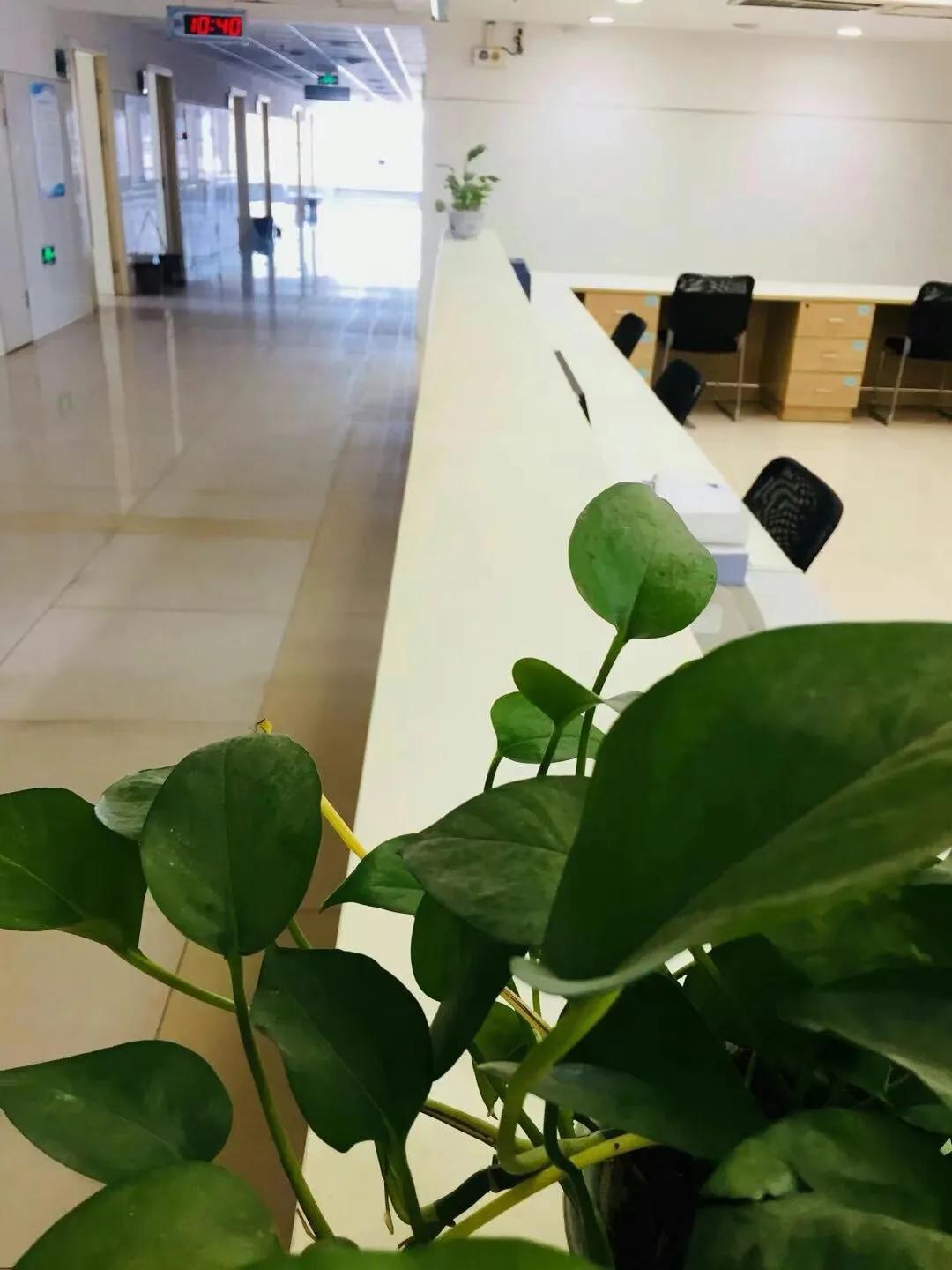 新入职护士怎么选科室,新入职护士进科室什么都不会