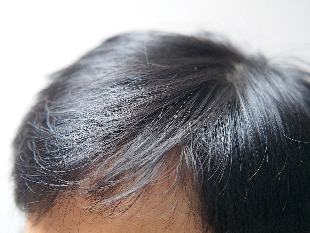 发根能立起来的洗发水,发根蓬松清爽不油腻