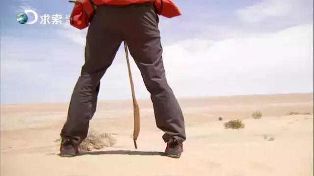 野外求生净化水的方法,野外生存取水的正确方法