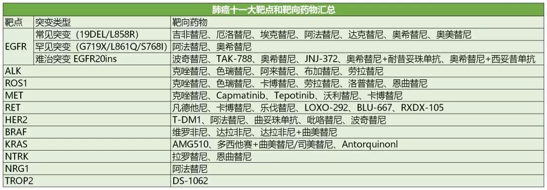 什么是靶向药物治疗肺癌,肺癌靶向药种类一览表