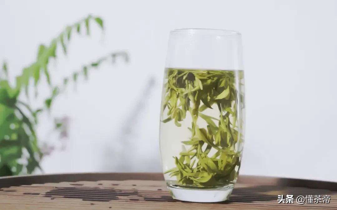 绿茶四大产区及代表茶,绿茶4大流派代表名茶