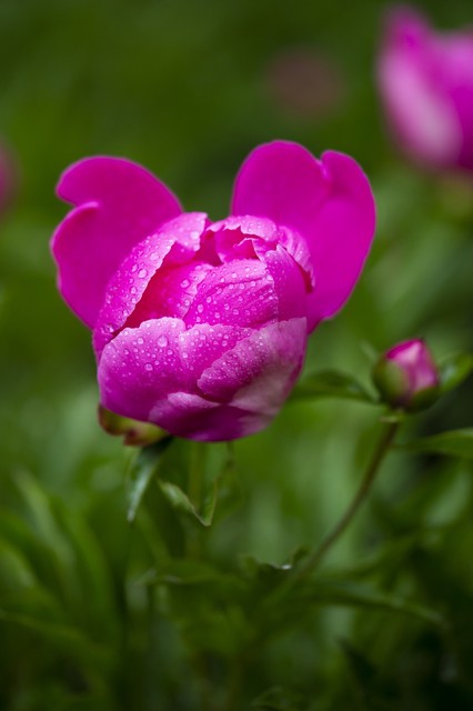 雷雨电闪雷鸣诗词,隐隐轻鸣启蛰雷
