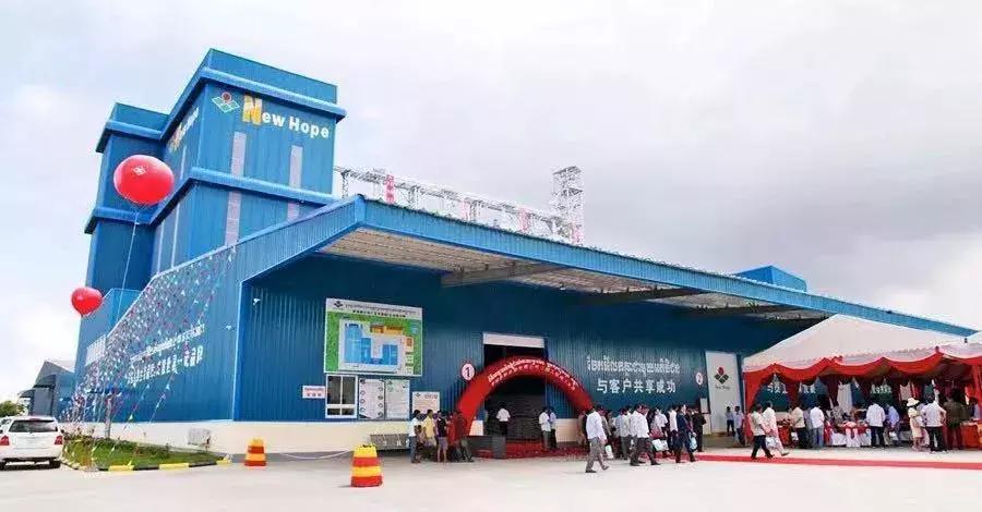 丝路先锋⑤新希望集团:“一带一路”上的跨界转型,刘永好在下一盘大棋