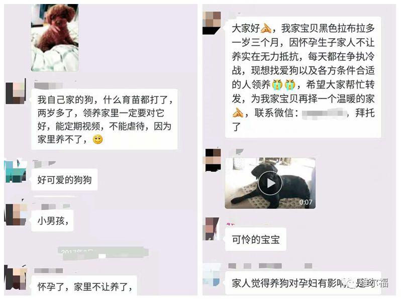 饲养猫狗可以治疗不孕不育，这个知识点你需要了解