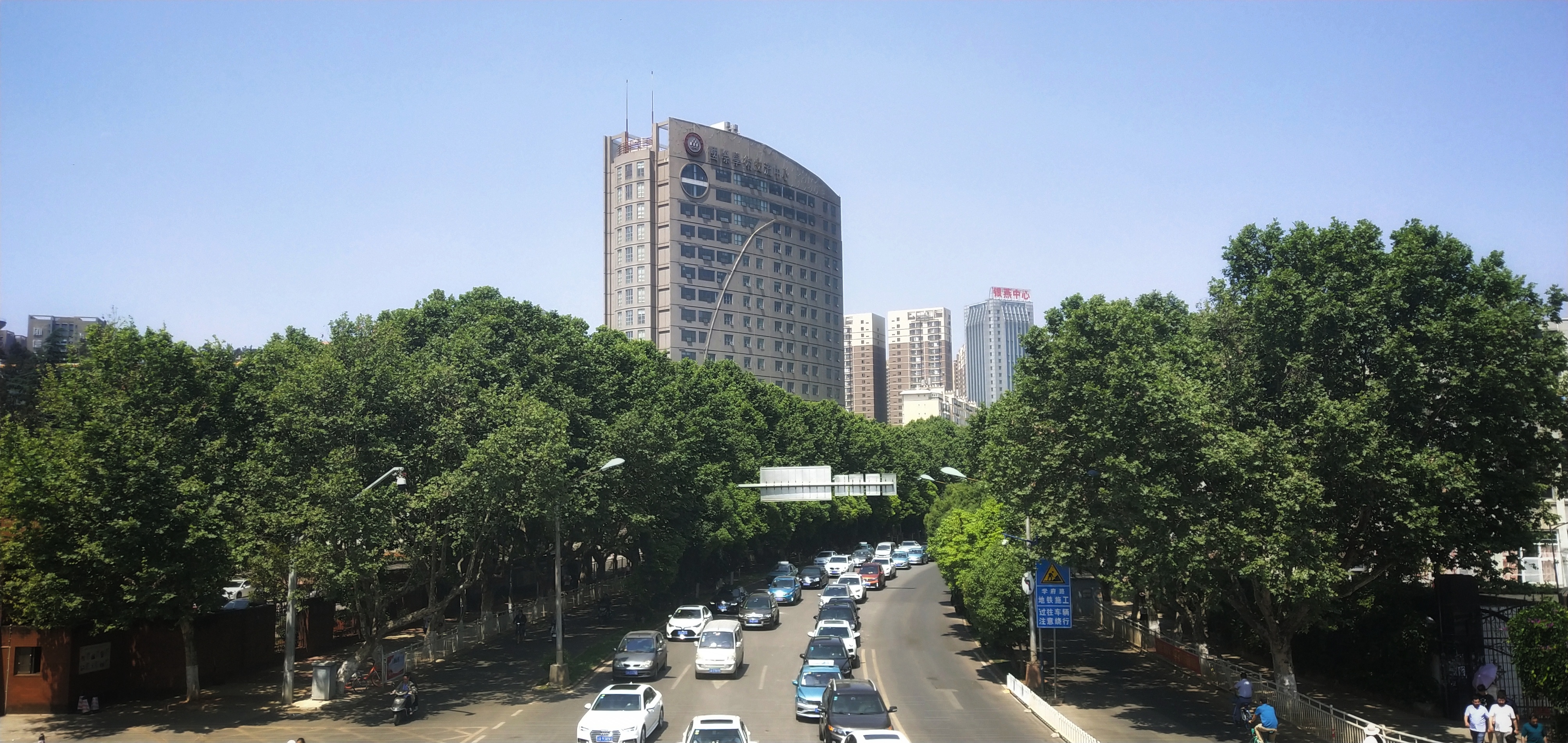 日慕蓝花楹，夜宿花香里