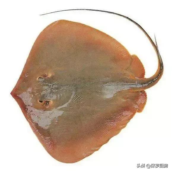 海鲜大荟萃,常见贝壳类海鲜