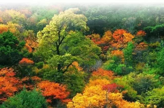 哈尔滨自驾三亚边走边玩最佳路线,哈尔滨到漠河自驾旅游攻略10天