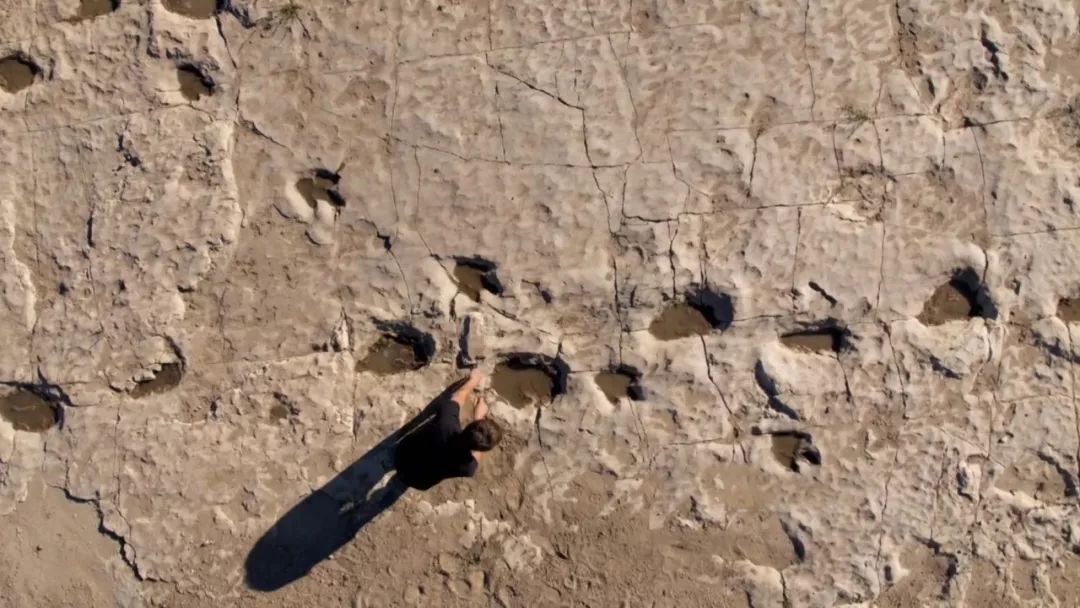 暑期必看的炸裂口碑纪录片,暑期不虚度七部神级纪录片陪你