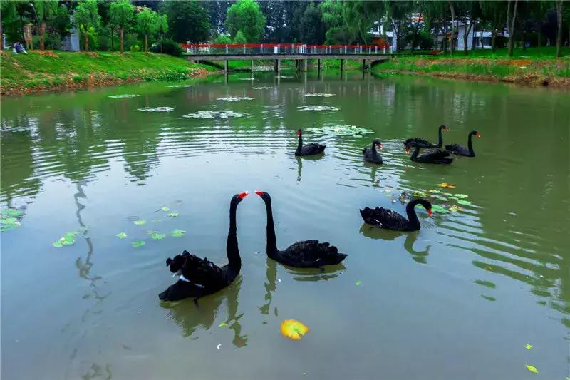 中国十大湖泊最美景点,十大风景最美的湖泊排行榜