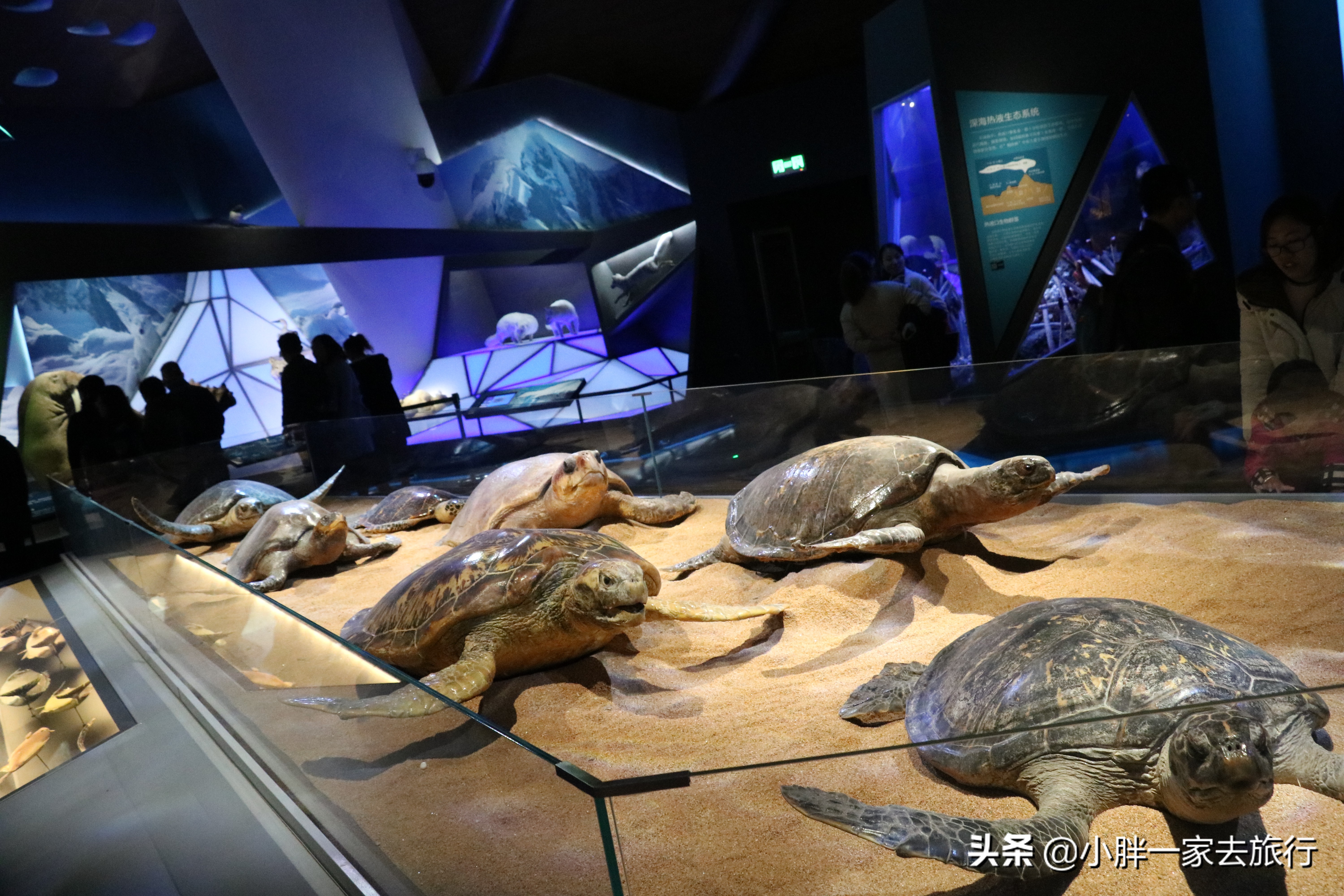 最大的北京海洋博物馆,海上故宫国家海洋博物馆