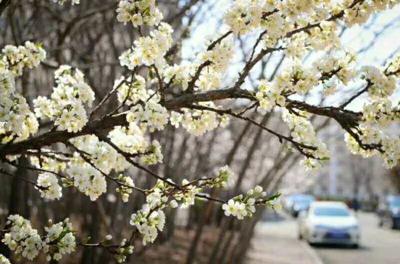 辽宁沈阳理工2019招生计划,沈阳理工大学2033年辽宁招生人数