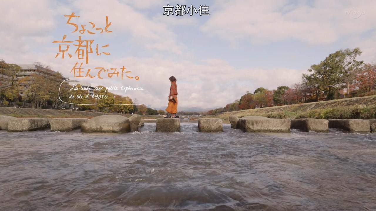 日本关东线8日游攻略,日本关东7天自由行攻略