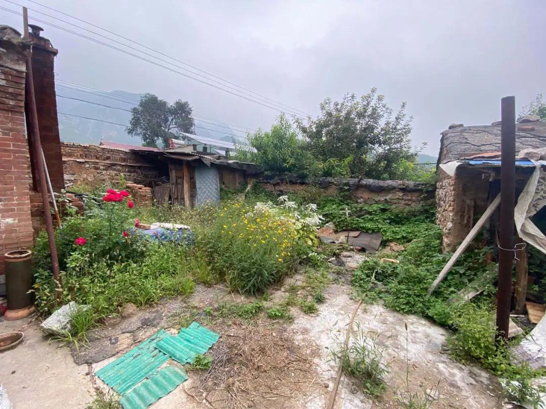 有人说北京农村院子年租金太高，5户农民网上出租院子揭价格真相