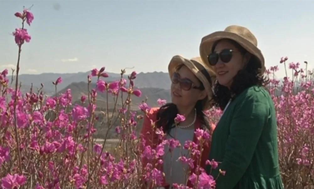 溪游记横岗店,溪游记竹窠