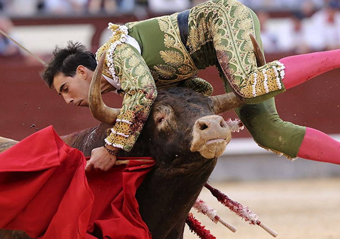 斗牛士当场被牛斗死,西班牙斗牛牛吐血当场死亡
