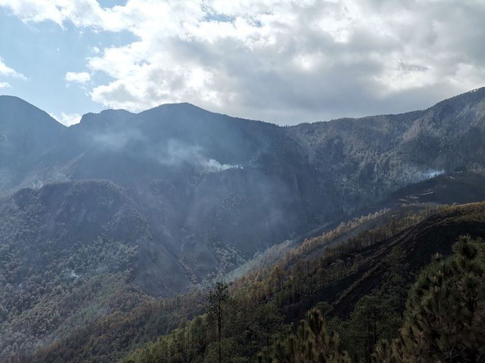 木里县森林火情,木里森林火灾后续