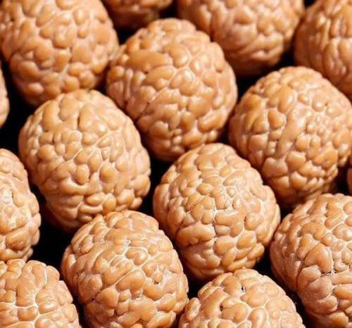 龙鳞纹金刚菩提怎么盘玩视频,小龙鳞金刚菩提盘玩方法