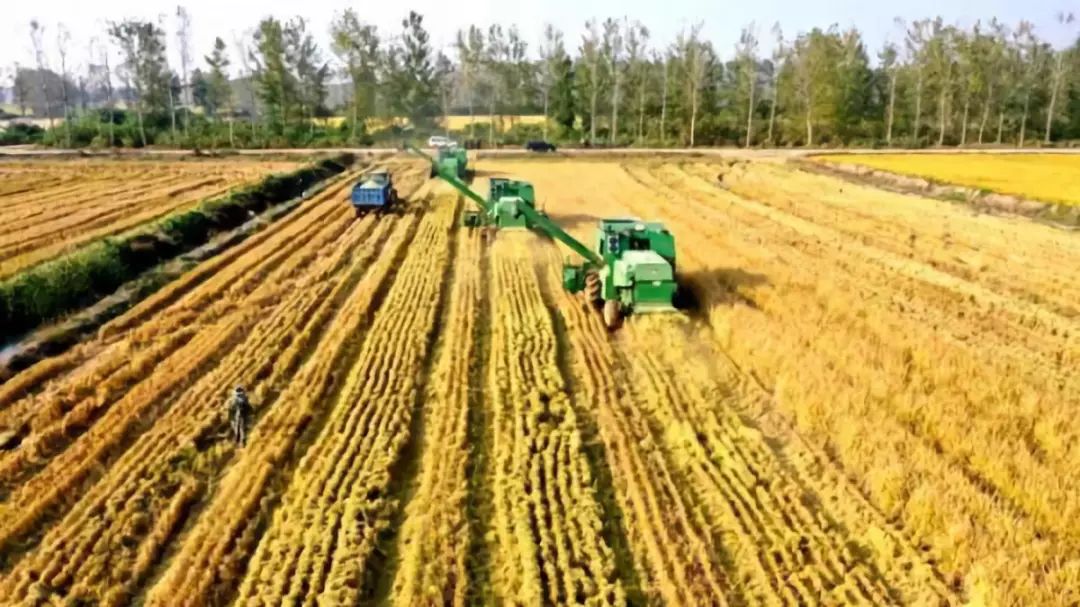 农产品盈利技巧,农产品怎么做才赚钱快