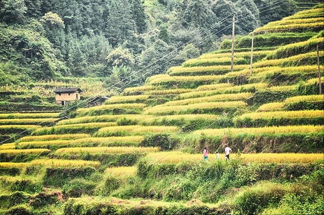 韶关丹霞梯田图片,韶关旅游梯田攻略图片