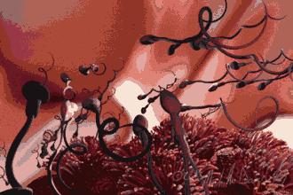 揭穿科学的面纱,走近科学令人无法接受的科学真相