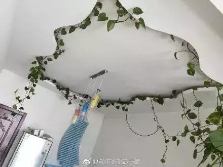 哈哈哈太刺激了！花了20w装修新房，结果被爸妈装成了公共厕所……