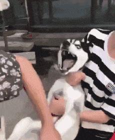 可爱搞笑图片可直接保存,搞笑图片现在的年轻妹纸真会玩啊