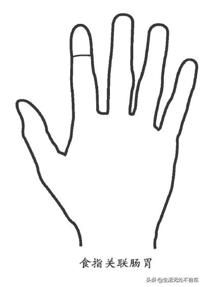 五指对应的五脏的位置,五只手指代表五脏哪个部位