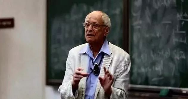 现代数学发展史简介,日本现代发展历程