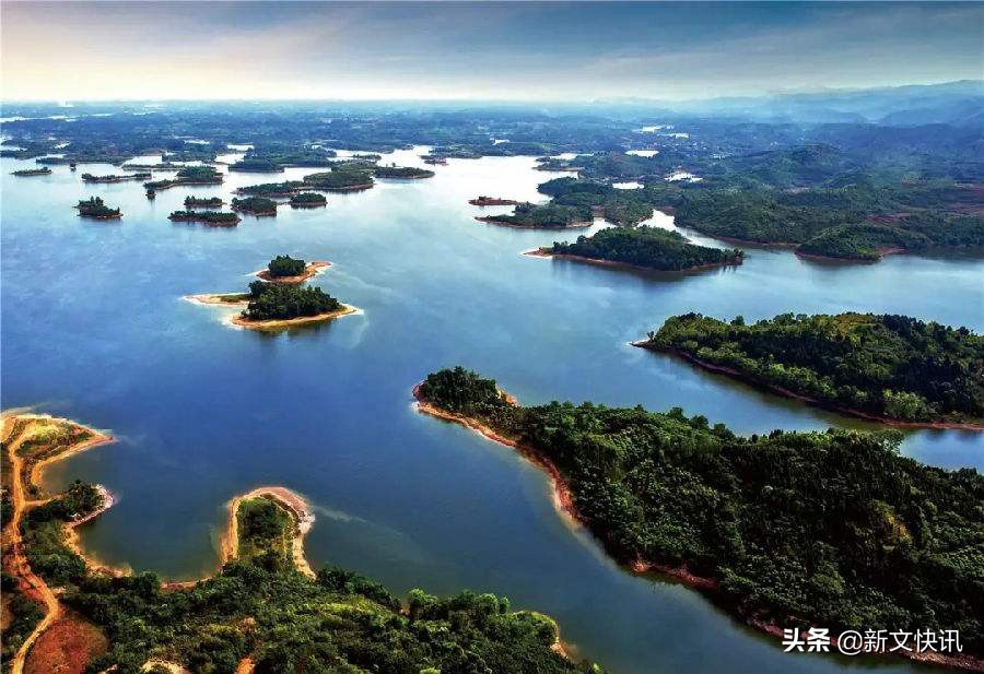 成都世警会赛事时间,2019年成都世警会