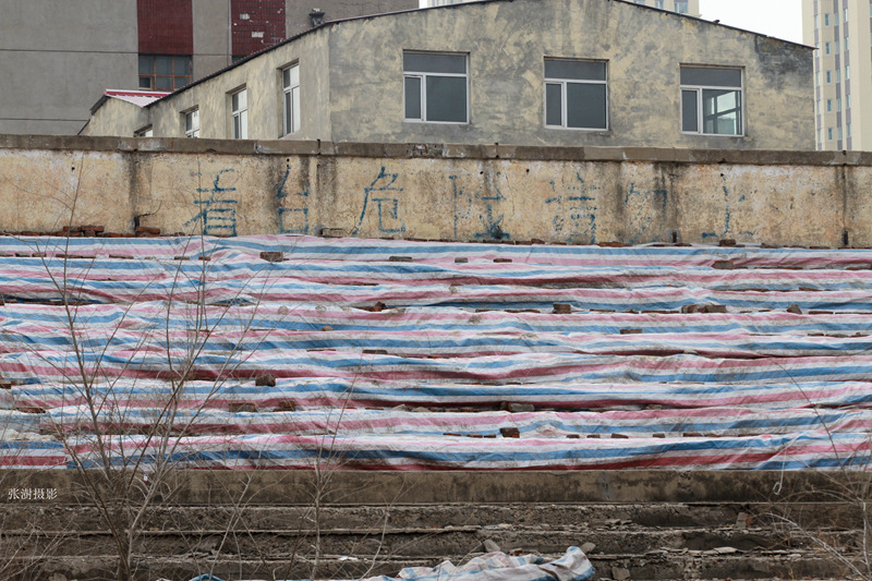 哈尔滨早期体育馆,哈尔滨老北方体育场