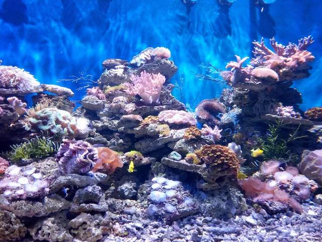 大连旅游攻略精致景点推荐,大连必去的打卡景点