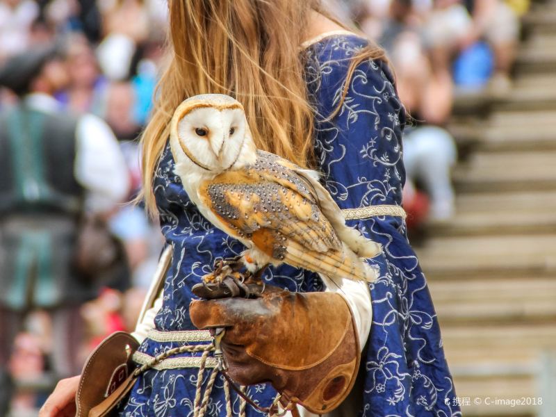 娉曞紡娴极椋庢儏寤虹瓚灏忛晣,璁捐璧忔瀽娉曞浗涔℃潙寤虹瓚