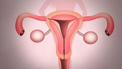 HPV反复发作不见好可能是宫颈癌？预防HPV有捷径，这些功课需做全