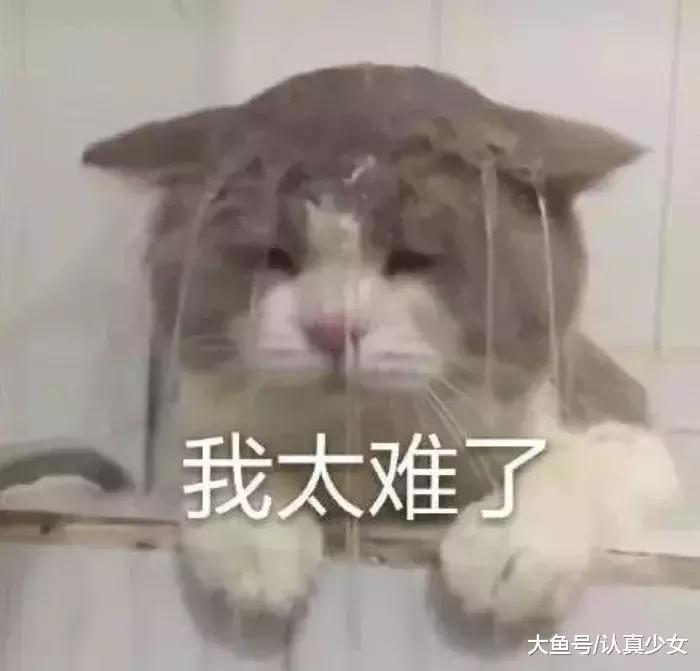 全球化妆品公司排名,全球前十化妆品