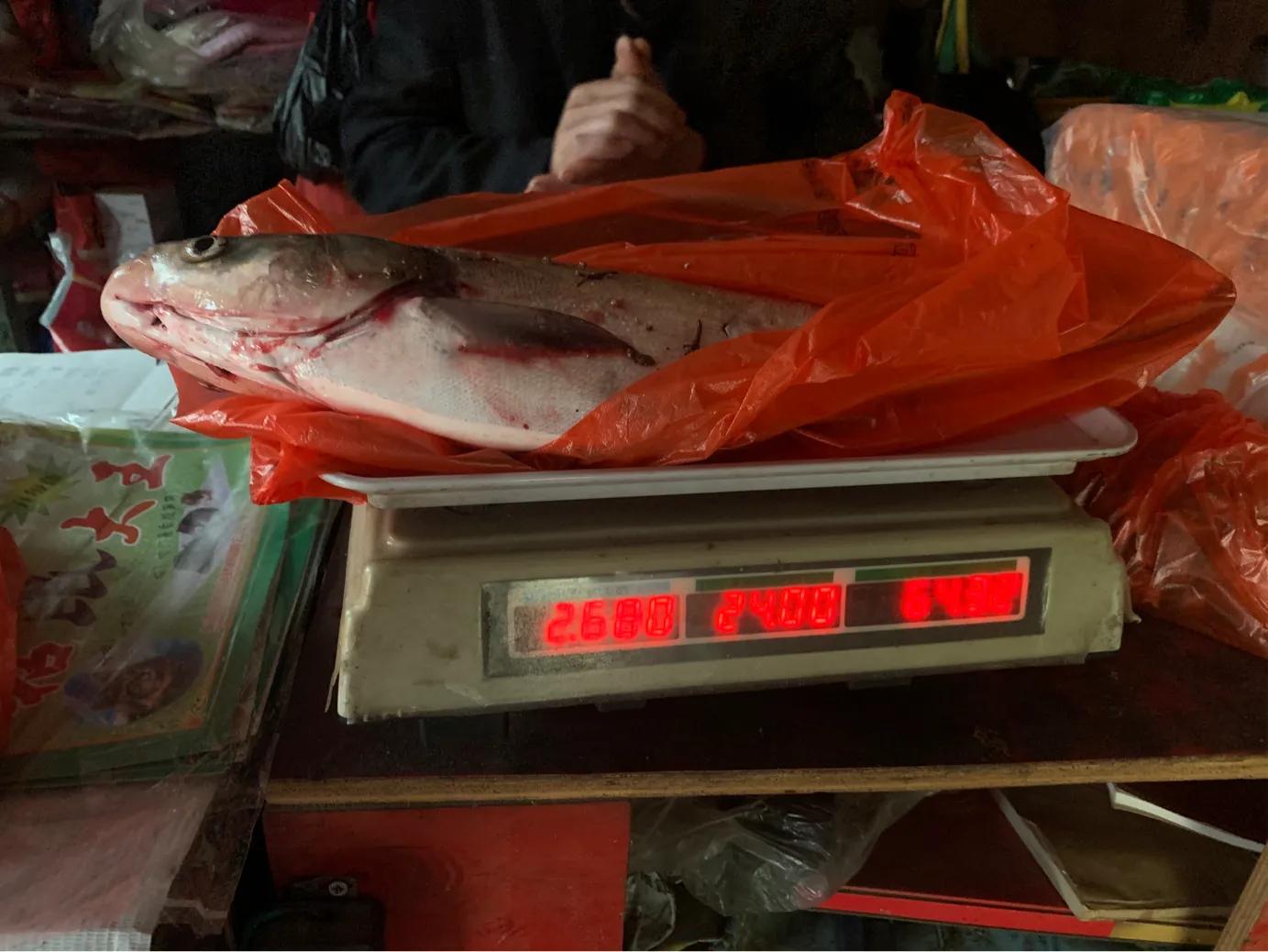 佳钓尼东来鱼竿,佳钓尼鱼竿配节